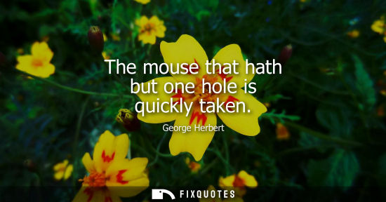 Small: The mouse that hath but one hole is quickly taken - George Herbert