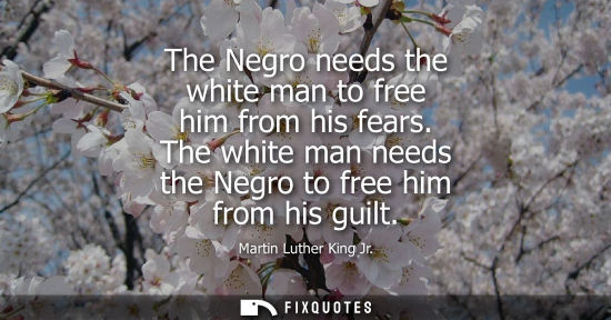 Small: The Negro needs the white man to free him from his fears. The white man needs the Negro to free him from his g