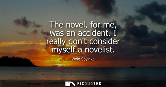 Small: The novel, for me, was an accident. I really dont consider myself a novelist