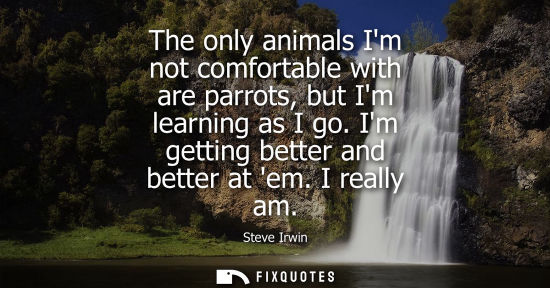 Small: Steve Irwin: The only animals Im not comfortable with are parrots, but Im learning as I go. Im getting better 