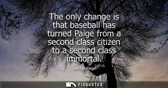 Small: The only change is that baseball has turned Paige from a second class citizen to a second class immorta