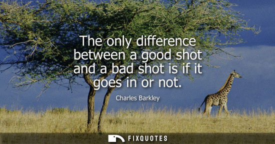 Small: The only difference between a good shot and a bad shot is if it goes in or not