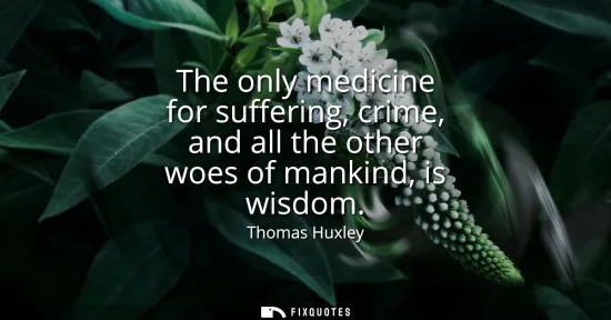 Small: The only medicine for suffering, crime, and all the other woes of mankind, is wisdom