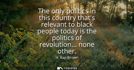 Small: The only politics in this country thats relevant to black people today is the politics of revolution... none o