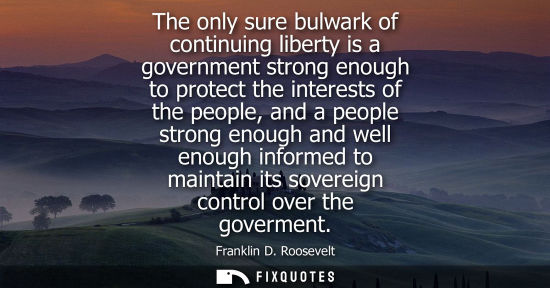 Small: The only sure bulwark of continuing liberty is a government strong enough to protect the interests of t