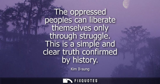 Small: The oppressed peoples can liberate themselves only through struggle. This is a simple and clear truth c