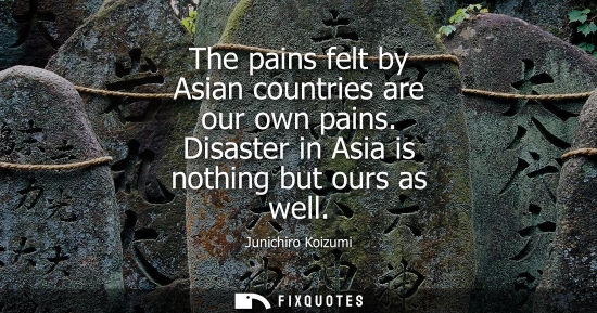 Small: The pains felt by Asian countries are our own pains. Disaster in Asia is nothing but ours as well - Junichiro 