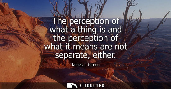 Small: The perception of what a thing is and the perception of what it means are not separate, either