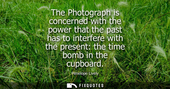 Small: The Photograph is concerned with the power that the past has to interfere with the present: the time bo