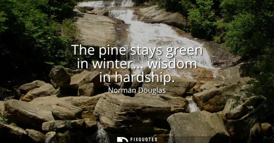 Small: The pine stays green in winter... wisdom in hardship