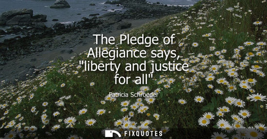 Small: The Pledge of Allegiance says, liberty and justice for all