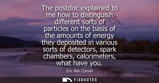 Small: The postdoc explained to me how to distinguish different sorts of particles on the basis of the amounts