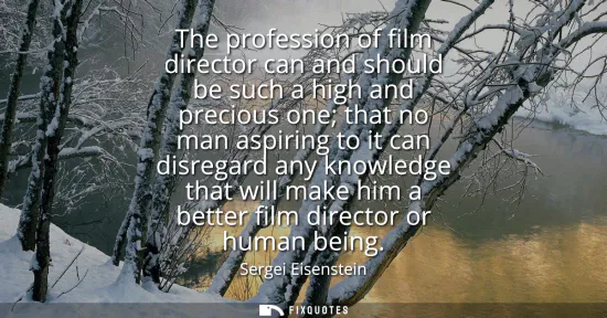 Small: The profession of film director can and should be such a high and precious one that no man aspiring to it can 