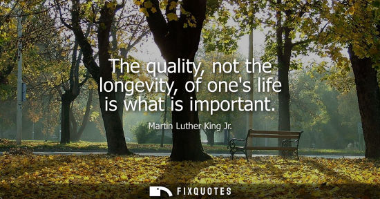 Small: The quality, not the longevity, of ones life is what is important - Martin Luther King Jr.