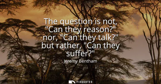 Small: The question is not, Can they reason? nor, Can they talk? but rather, Can they suffer?