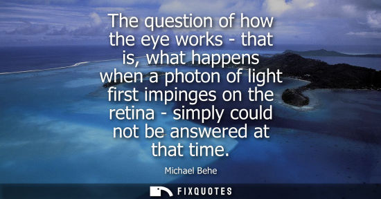 Small: The question of how the eye works - that is, what happens when a photon of light first impinges on the 