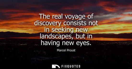 Small: The real voyage of discovery consists not in seeking new landscapes, but in having new eyes