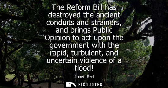 Small: The Reform Bill has destroyed the ancient conduits and strainers, and brings Public Opinion to act upon