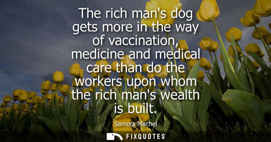 Small: The rich mans dog gets more in the way of vaccination, medicine and medical care than do the workers up