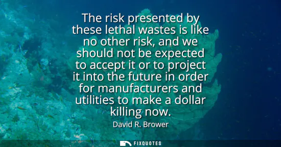 Small: The risk presented by these lethal wastes is like no other risk, and we should not be expected to accept it or