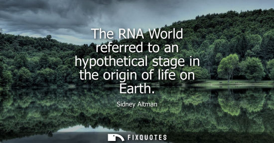 Small: The RNA World referred to an hypothetical stage in the origin of life on Earth