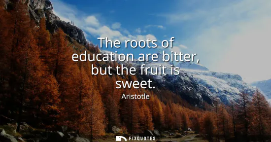 Small: The roots of education are bitter, but the fruit is sweet