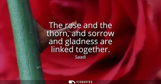 Small: The rose and the thorn, and sorrow and gladness are linked together