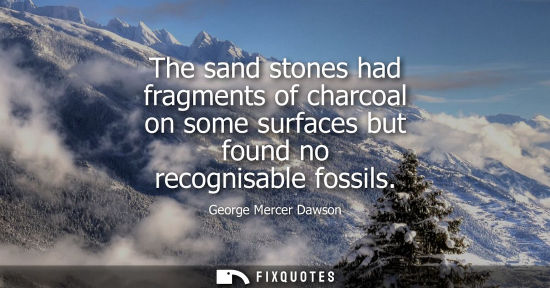 Small: The sand stones had fragments of charcoal on some surfaces but found no recognisable fossils