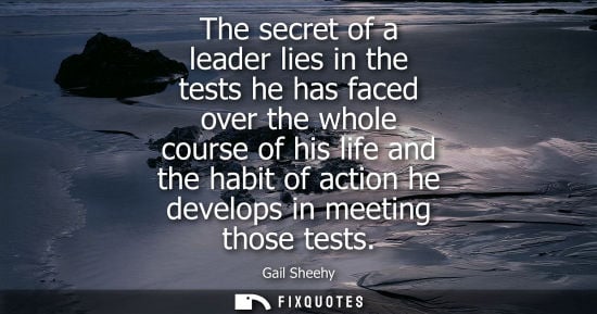 Small: Gail Sheehy: The secret of a leader lies in the tests he has faced over the whole course of his life and the h