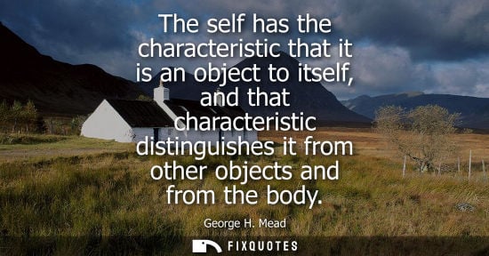 Small: The self has the characteristic that it is an object to itself, and that characteristic distinguishes i
