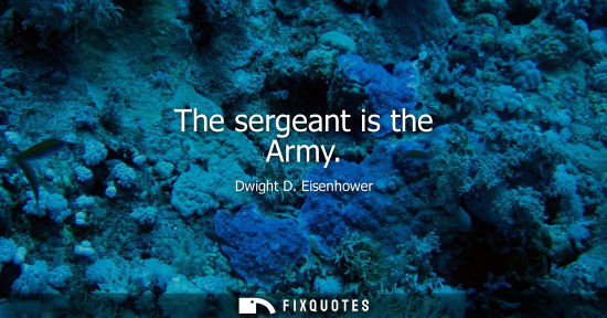 Small: The sergeant is the Army