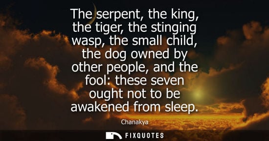 Small: The serpent, the king, the tiger, the stinging wasp, the small child, the dog owned by other people, an