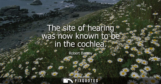 Small: The site of hearing was now known to be in the cochlea