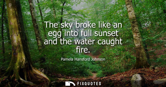 Small: The sky broke like an egg into full sunset and the water caught fire