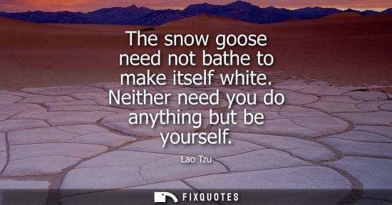 Small: The snow goose need not bathe to make itself white. Neither need you do anything but be yourself