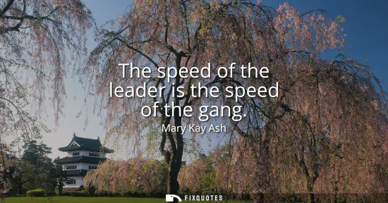Small: The speed of the leader is the speed of the gang