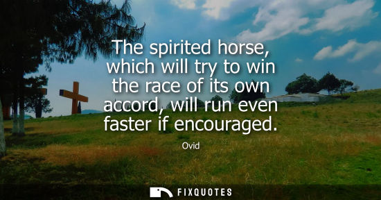 Small: The spirited horse, which will try to win the race of its own accord, will run even faster if encouraged