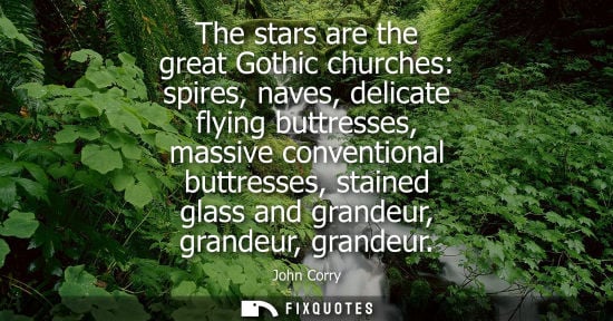 Small: The stars are the great Gothic churches: spires, naves, delicate flying buttresses, massive conventional buttr