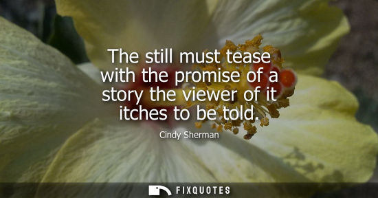 Small: The still must tease with the promise of a story the viewer of it itches to be told