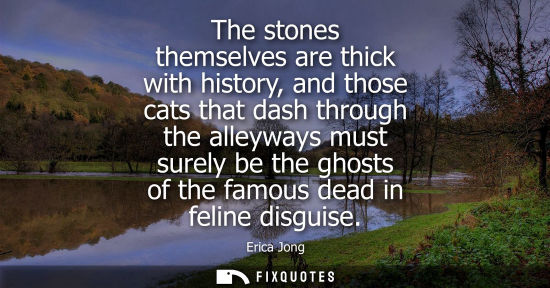 Small: The stones themselves are thick with history, and those cats that dash through the alleyways must surel