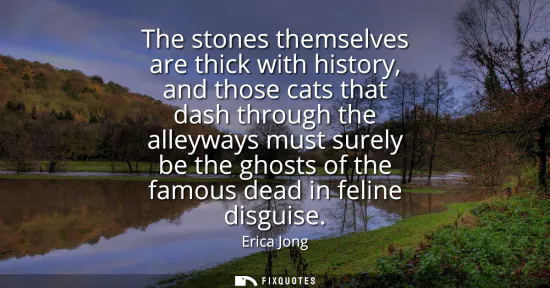 Small: The stones themselves are thick with history, and those cats that dash through the alleyways must surely be th