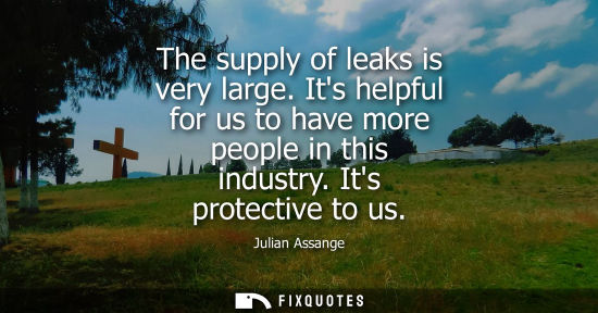 Small: Julian Assange: The supply of leaks is very large. Its helpful for us to have more people in this industry. It