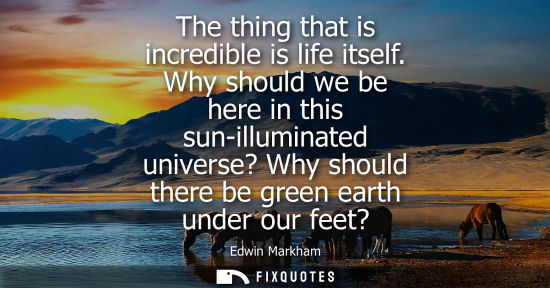 Small: The thing that is incredible is life itself. Why should we be here in this sun-illuminated universe? Wh