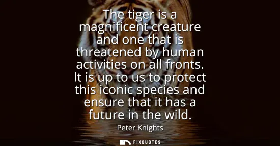 Small: The tiger is a magnificent creature and one that is threatened by human activities on all fronts. It is up to 