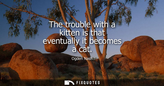 Small: The trouble with a kitten is that eventually it becomes a cat
