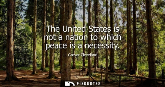 Small: The United States is not a nation to which peace is a necessity