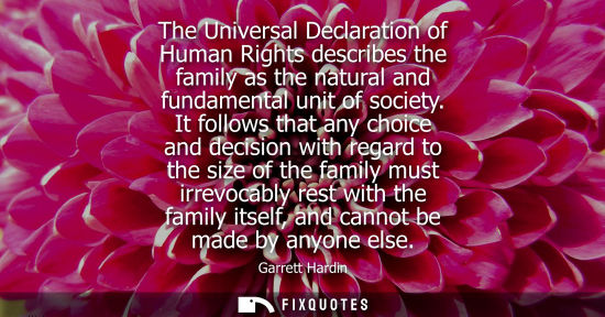 Small: The Universal Declaration of Human Rights describes the family as the natural and fundamental unit of s