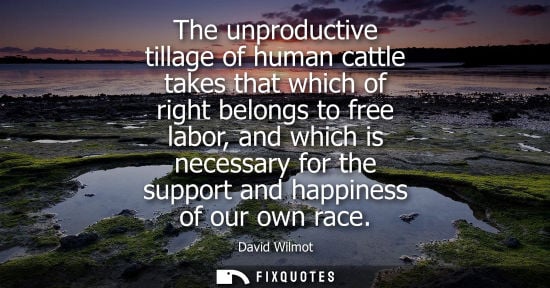 Small: The unproductive tillage of human cattle takes that which of right belongs to free labor, and which is necessa