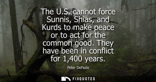 Small: The U.S. cannot force Sunnis, Shias, and Kurds to make peace or to act for the common good. They have b