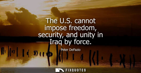 Small: The U.S. cannot impose freedom, security, and unity in Iraq by force